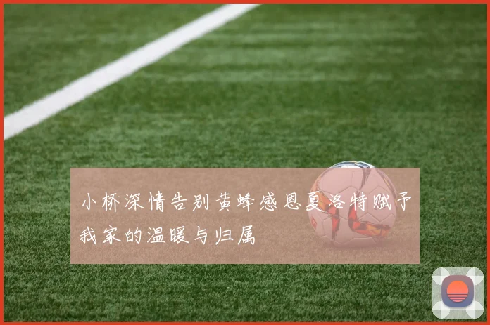 小桥深情告别黄蜂感恩夏洛特赋予我家的温暖与归属